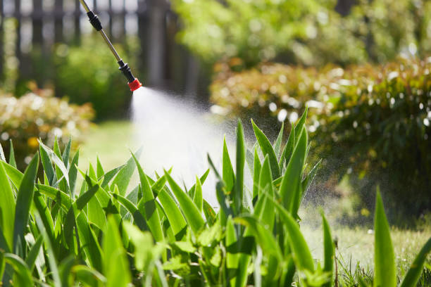 Tamper-Resistant Bait Stations for Rodents in Pasatiempo