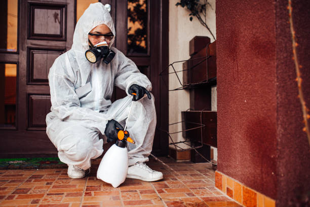 Attic and Crawl Space Rodent Treatment in Pasatiempo